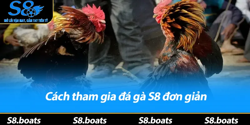 Cách tham gia đá gà S8 đơn giản